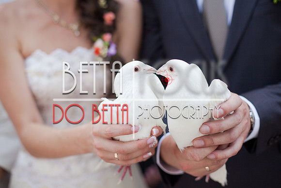 Two white doves.Wedding