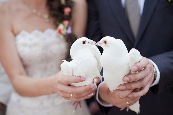 Two white doves.Wedding